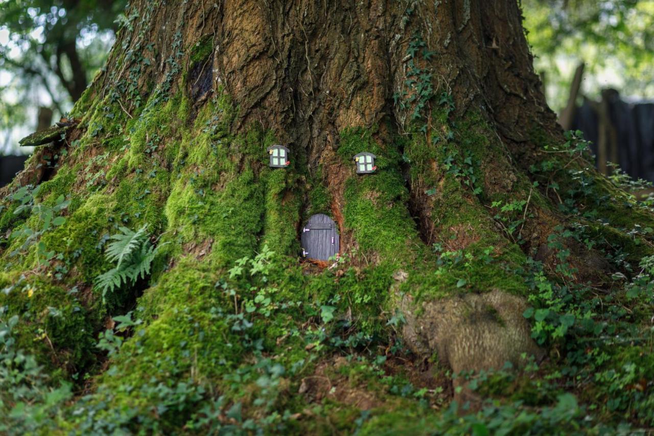 Finca La Peniga Mazcuerras Eksteriør bilde